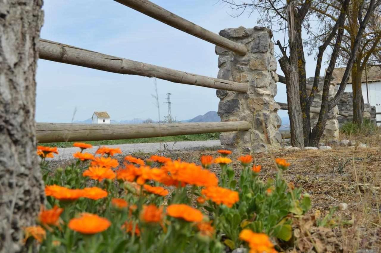 Alojamiento El Cortijuelo Vila Escoznar Exterior foto